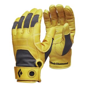 Transition Gloves